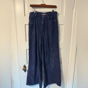 BDG urban outfitters Wide-Leg Blue Corduroy Pants